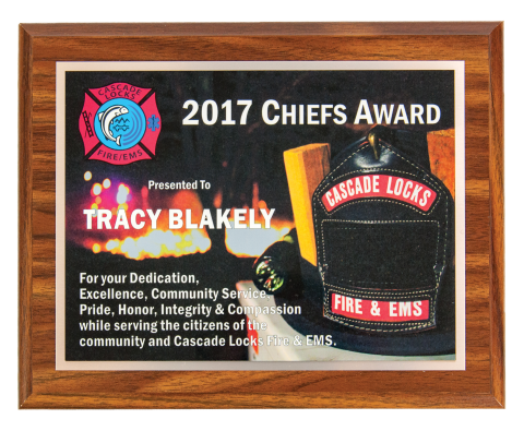Customized plaque with full color plate. Logos, photos, and designs can be added to make this award unique.