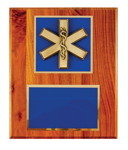 Bronze finish Cross of Life with brass engraving plate mounted on plaque.